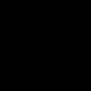 Meet your Posher, Ivy